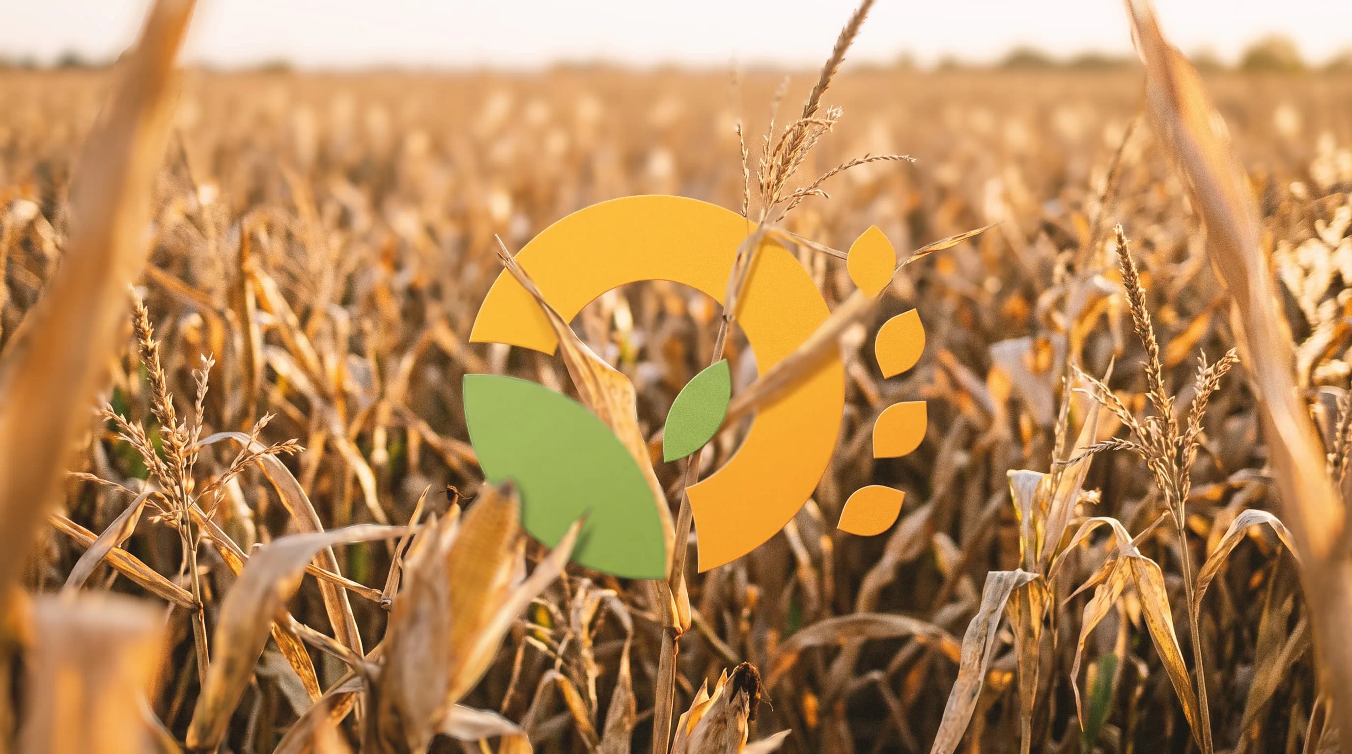 Lavoura de grãos ao entardecer com o símbolo da marca Agromat